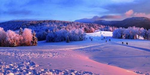 一抹白江天暮雪落尽琼花 浪漫冬日唯有爱意似骄阳