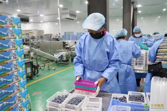 兰坪七项特色产品获生态原产地保护,登顶云南县域数量第一