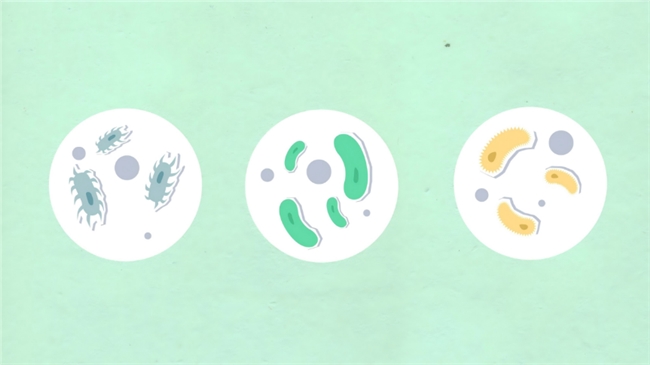 重症肺炎别漏诊！DNA+RNA 双检流程精准识别混合感染
