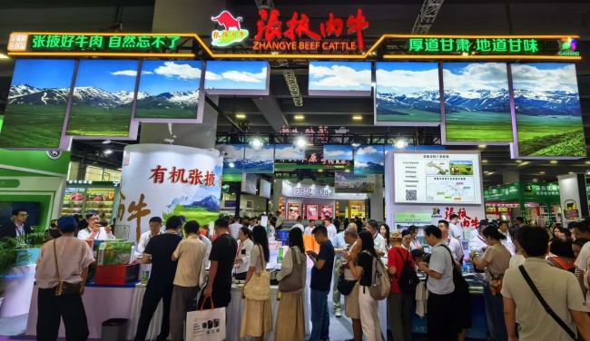 张掖养好牛，湾区启“味”来｜借力“粤牧优品”通全球肉牛产业交易会，拓宽入湾新路径